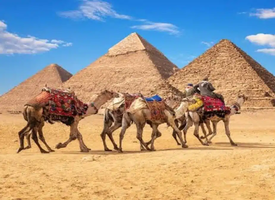 Pyramids of Giza and Camelback Ride Combo Ticket Highlights